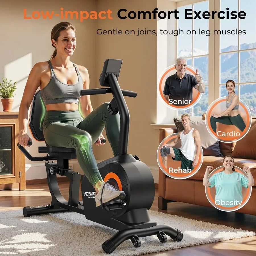 Recumbent Exercise Bike