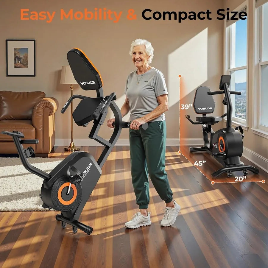 Recumbent Exercise Bike
