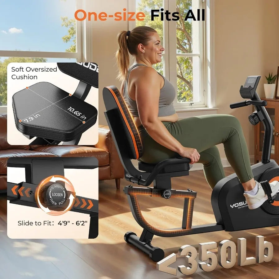 Recumbent Exercise Bike
